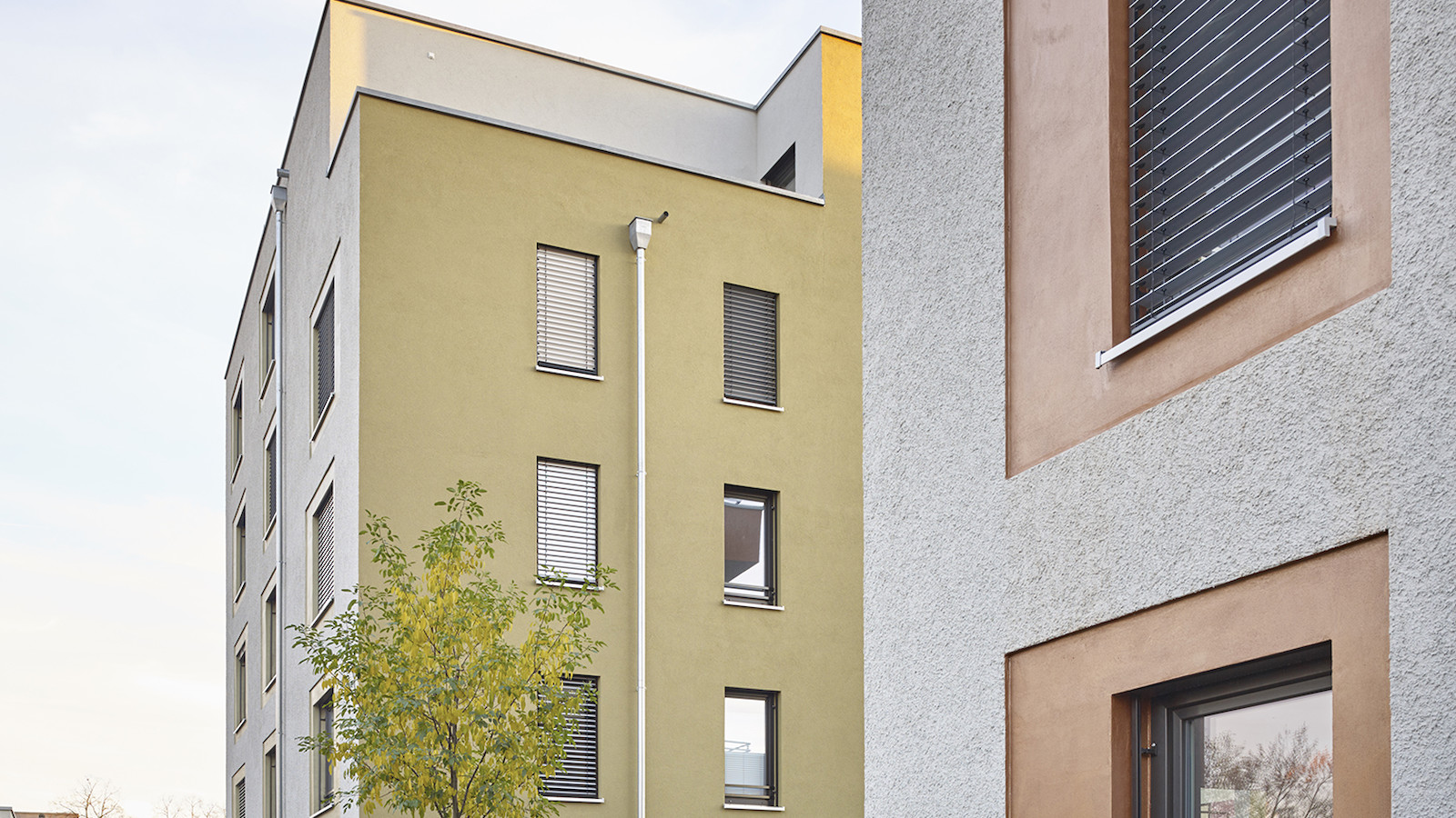 Sternenhof © Yohan Zerdoun