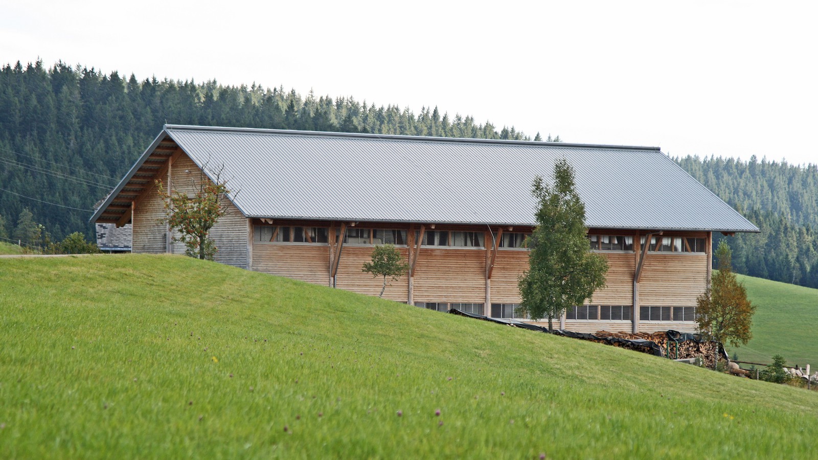 Furtwanglehof Furtwangen © Anne Rombach