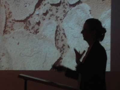 © Felicitas Tritschler