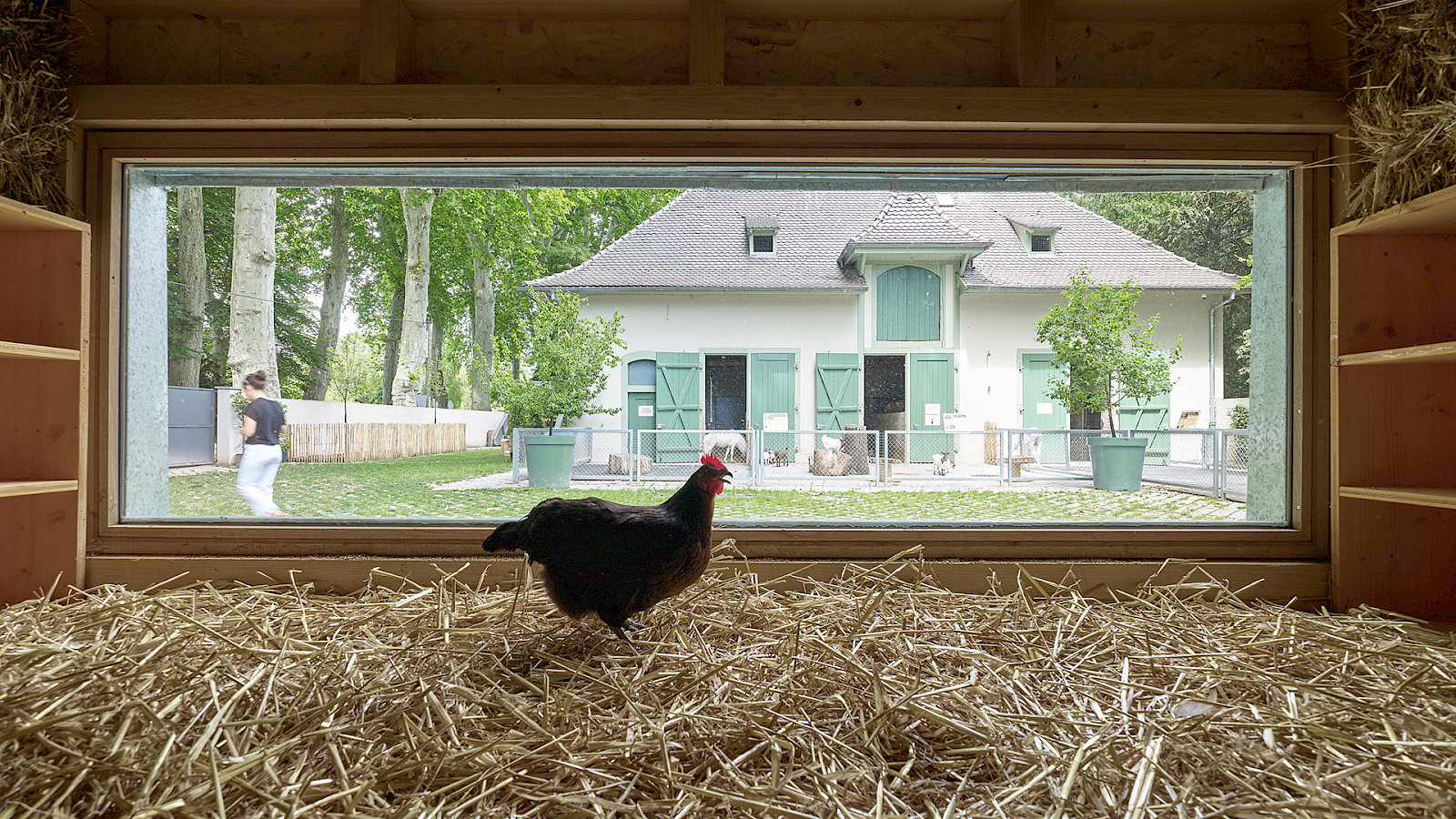 Ferme pedagogique © David Foessel