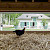 Ferme pedagogique © David Foessel