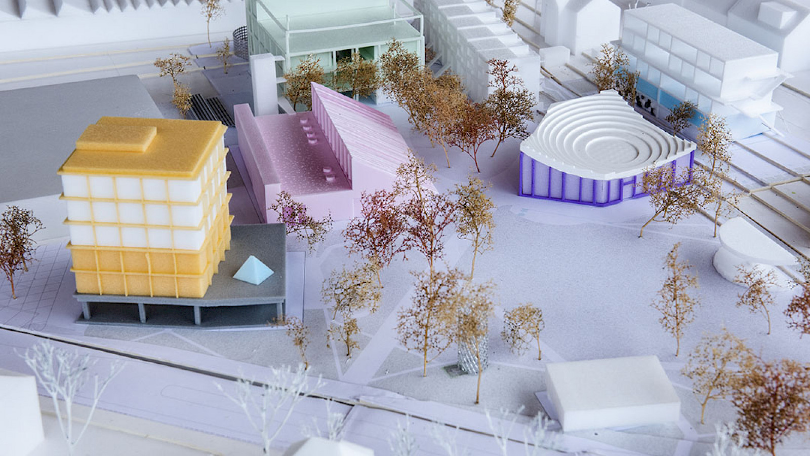 © Studio Céline Baumann