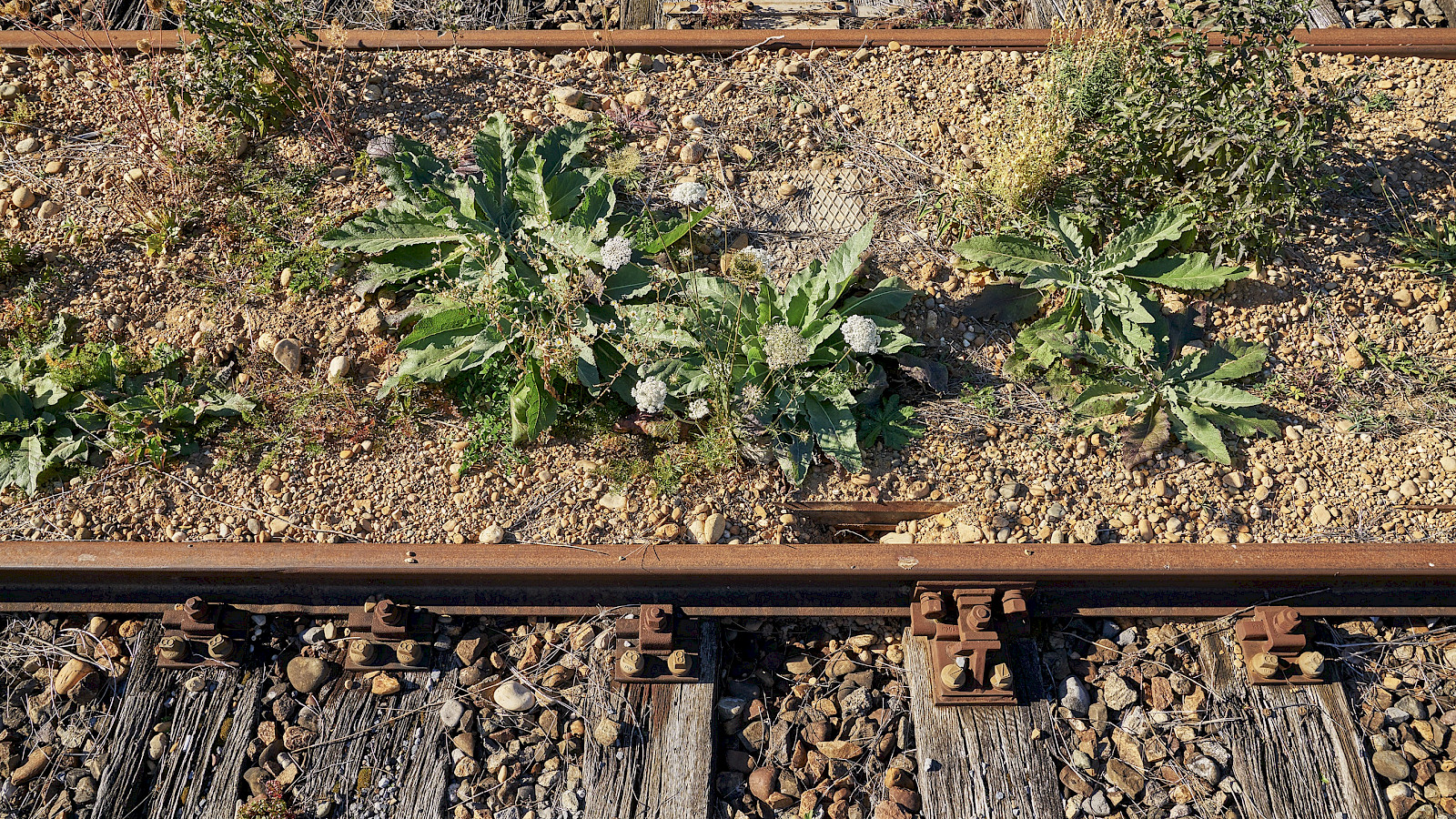 Klimapioniere © Denkstatt sàrl