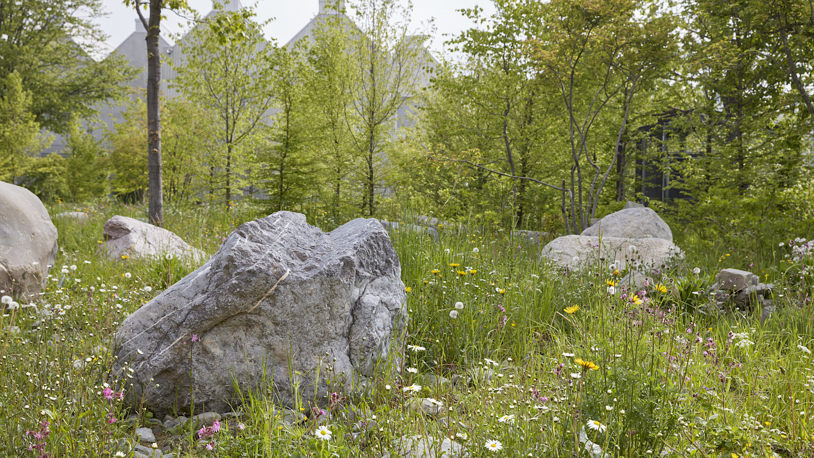 Naturmuseum_field_erratics © Valentin Reck