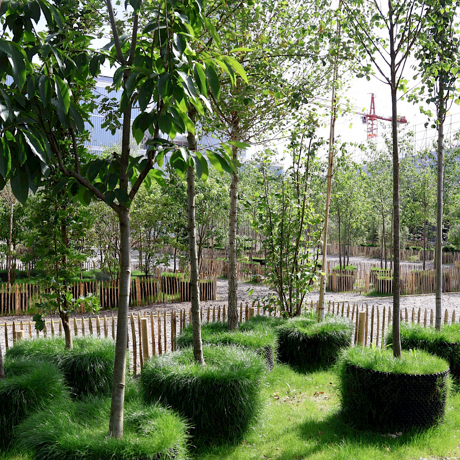 Josef Areal Zürich temporäre Baumschule © Grün Stadt Zürich