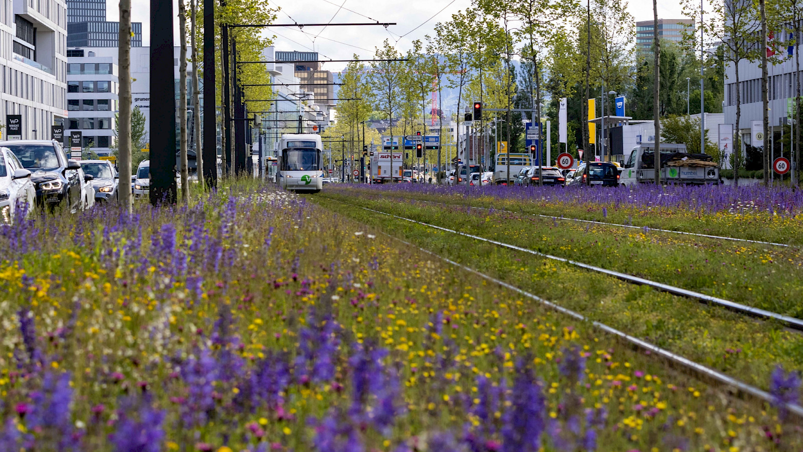 Zürich Nord Tramtrassee 2 © Katharina Nüesch