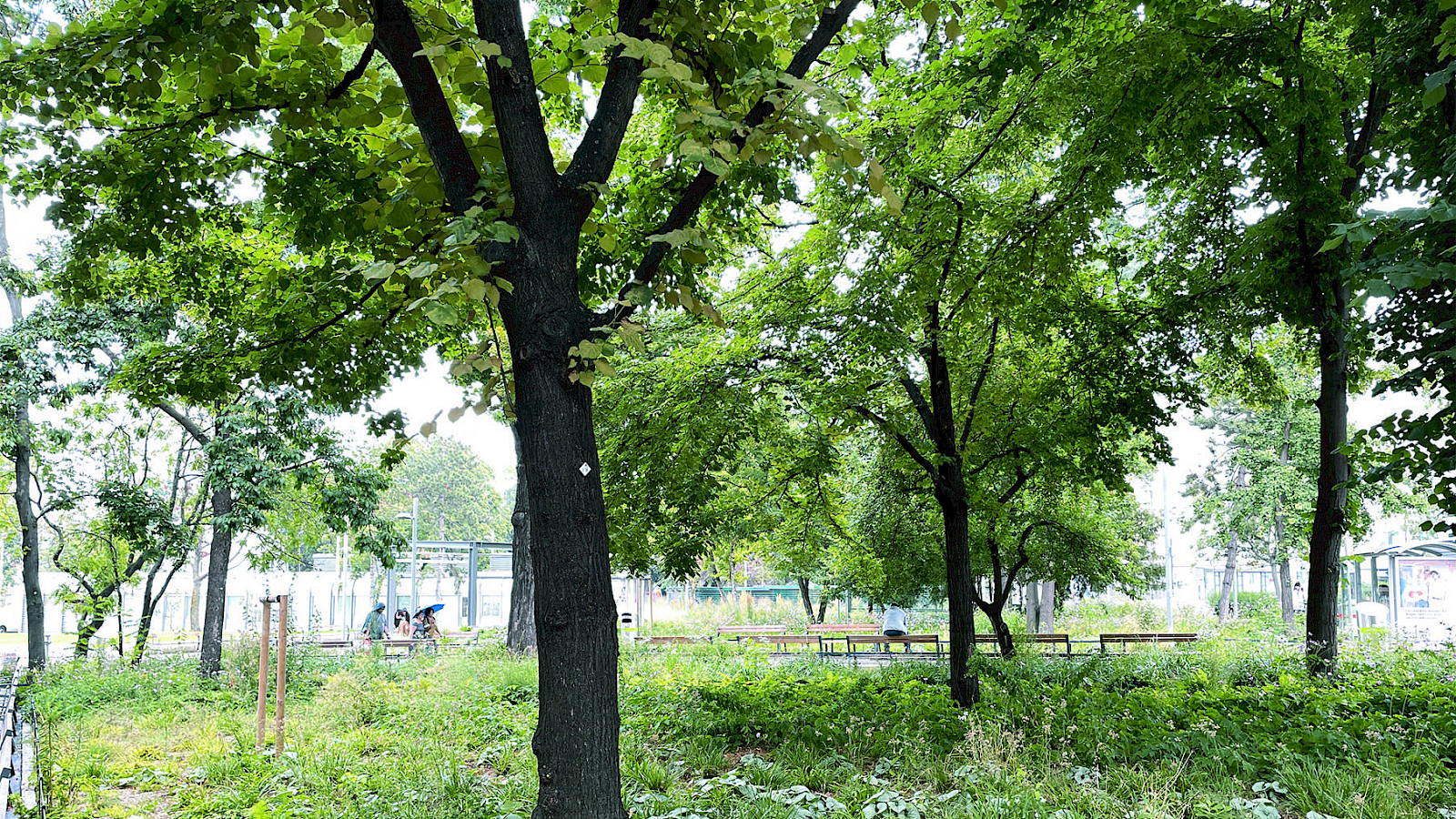 Reumädchenplatz: Der gender-inklusive Reumannplatz in Wien wird von der Stadtbevölkerung „Reumädchenplatz“ genannt © Karin Hartmann